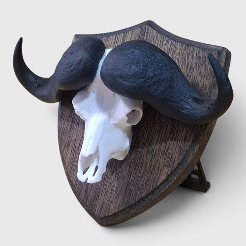 Buffalo Trophy