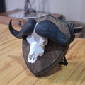 Buffalo Trophy
