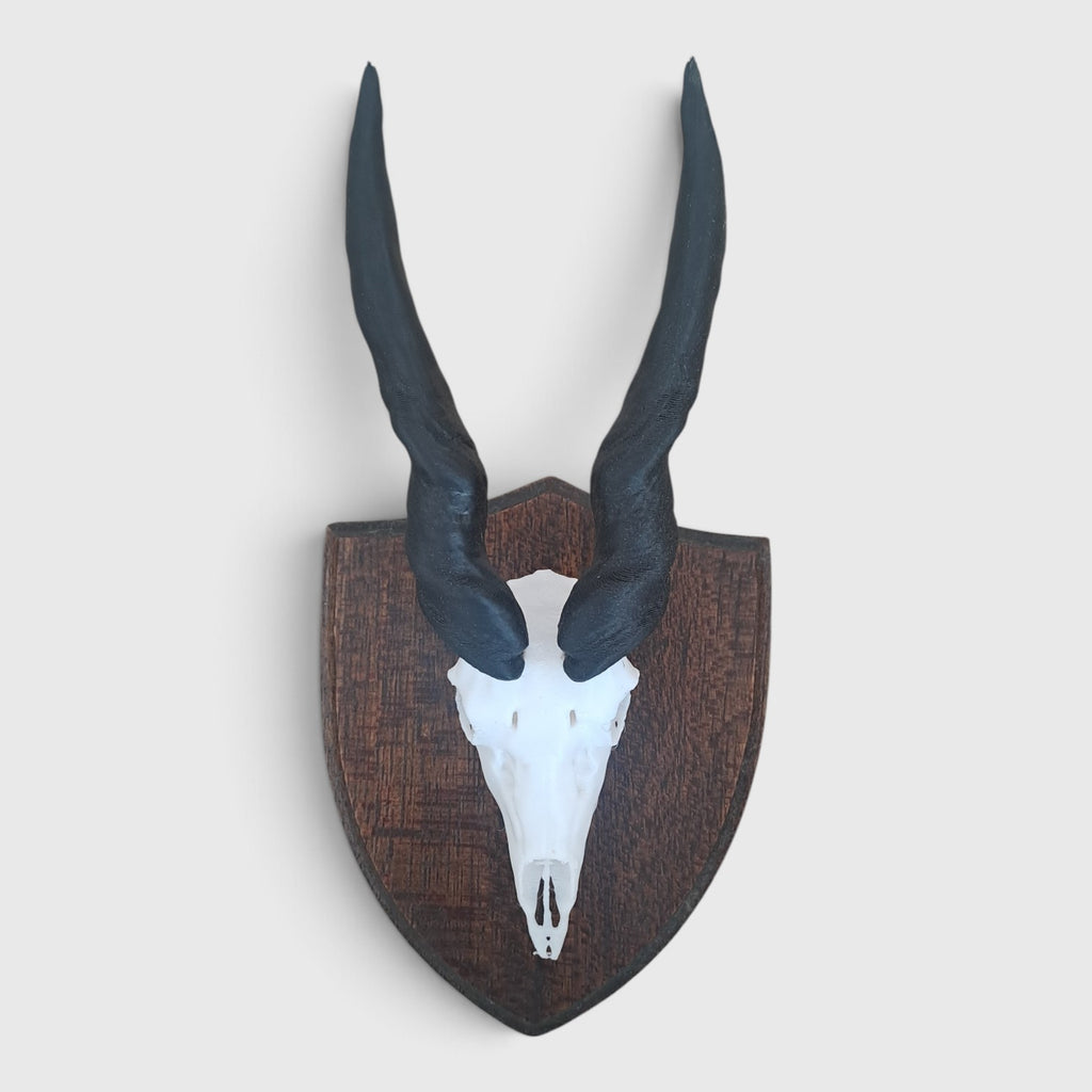 Eland Trophy