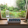 Self Watering Seedling Tray