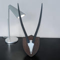 Gemsbok Trophy