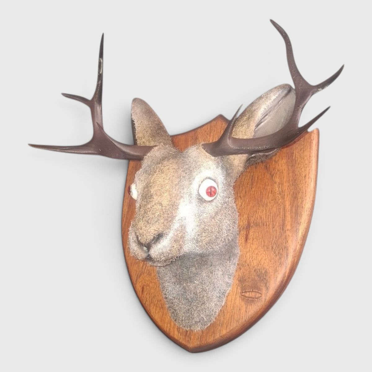 Jackalope Trophy