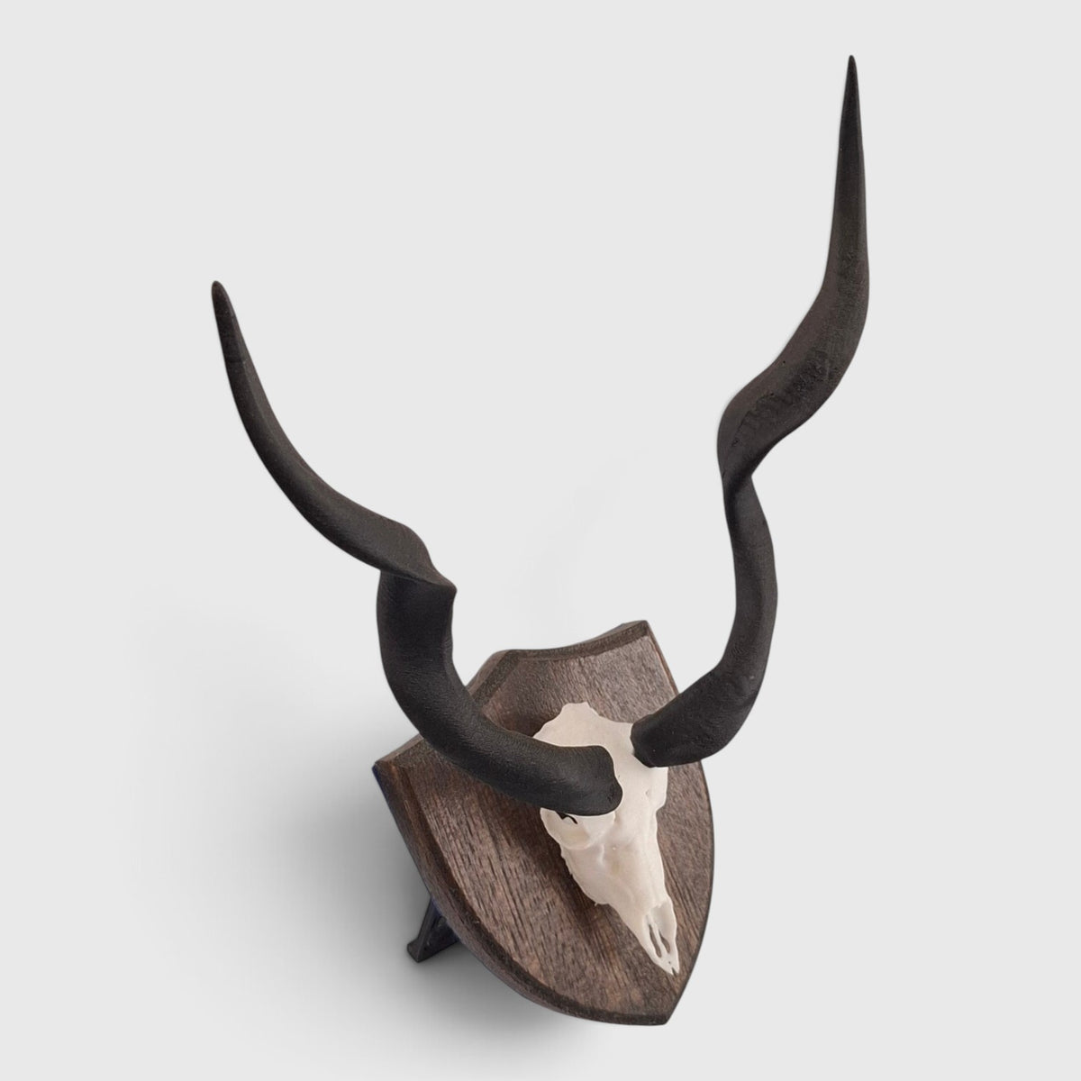 Kudu Trophy