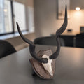 Kudu Trophy