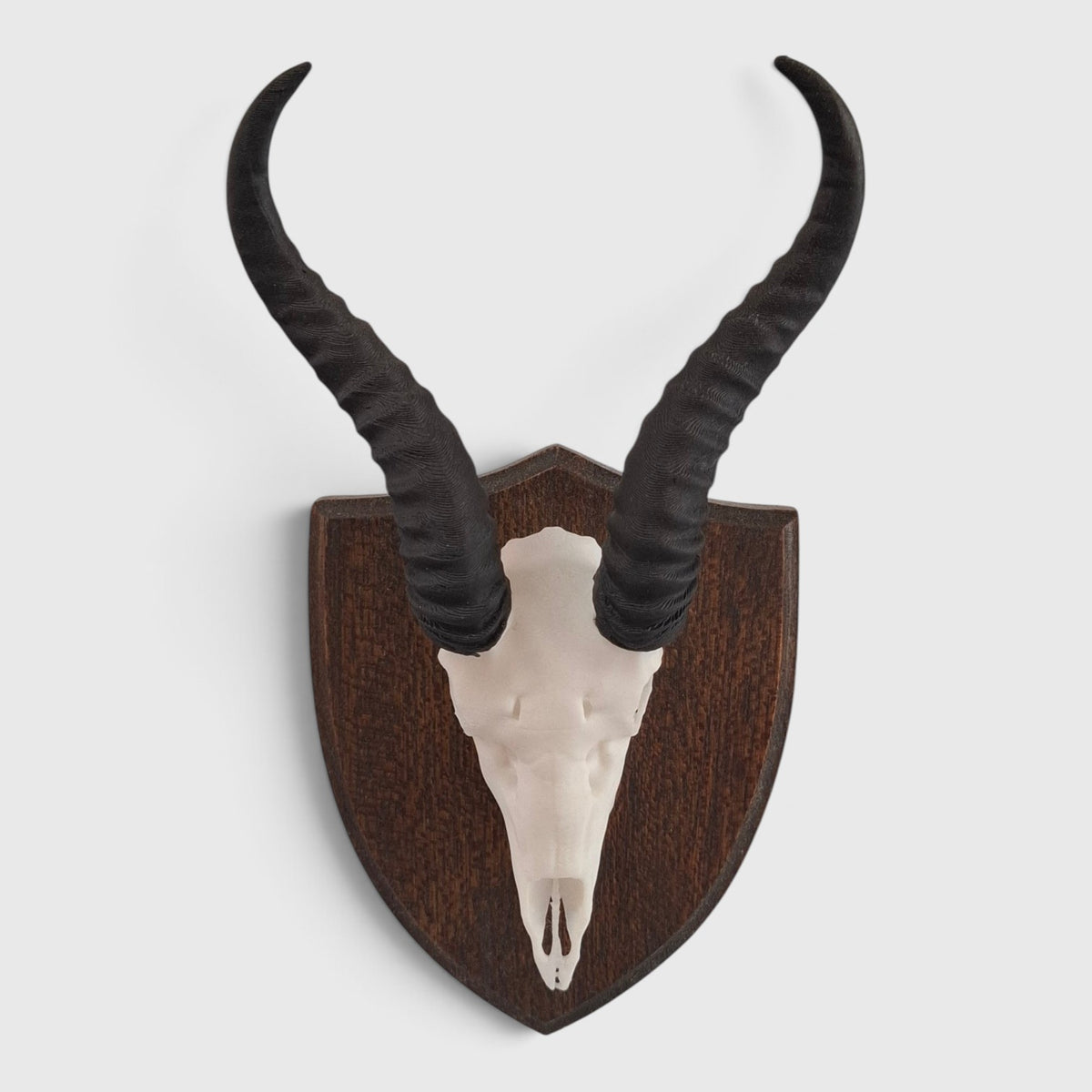 Springbok Trophy
