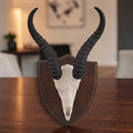 Springbok Trophy