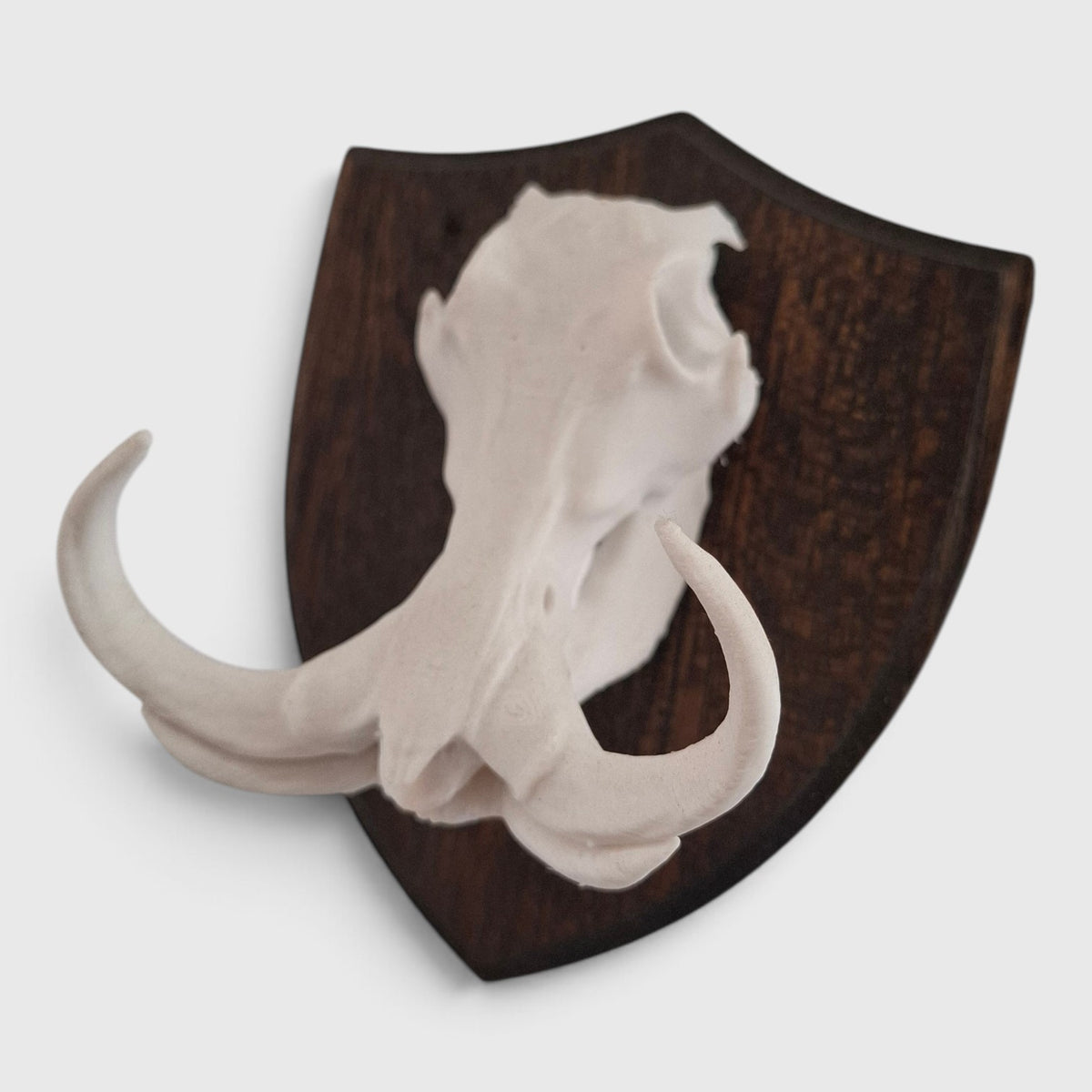 Warthog Trophy